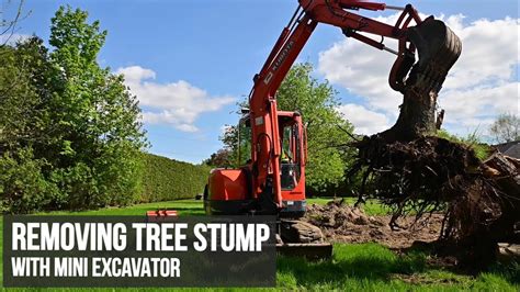 mini excavator for tree removal|mini tree removal.